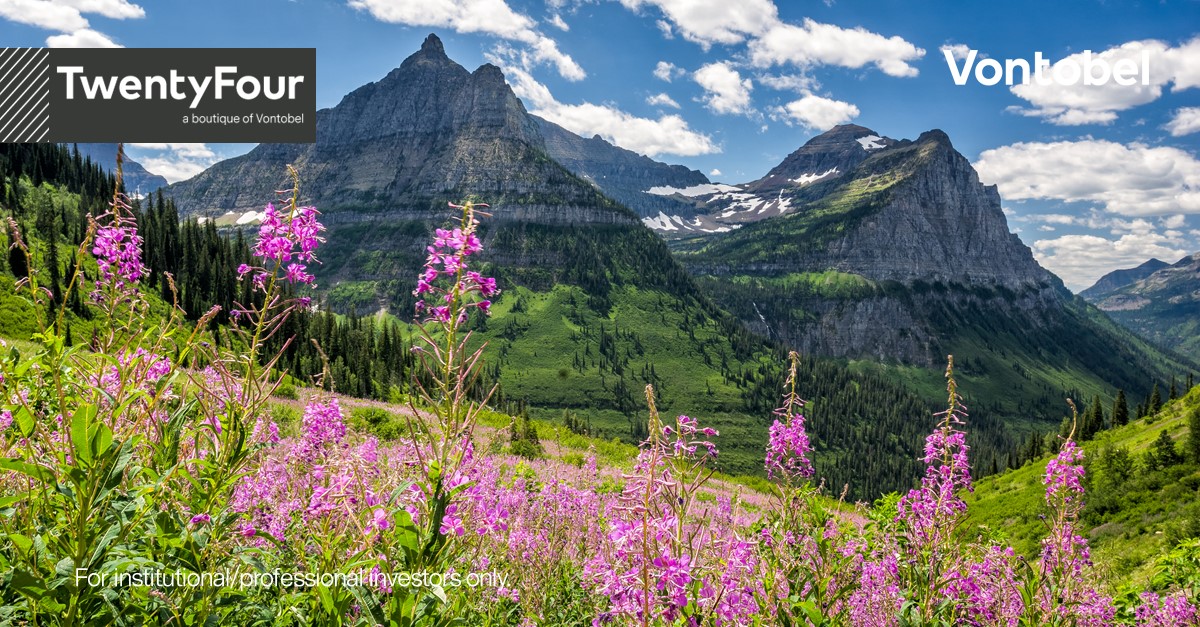 Investment Grade Quarterly Update April 2023 Vontobel Asset Management